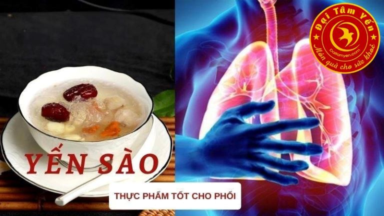 Yến sào tốt cho phổi